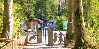 Ausflug mit Kindern - Hard - Wildpark Feldkirch