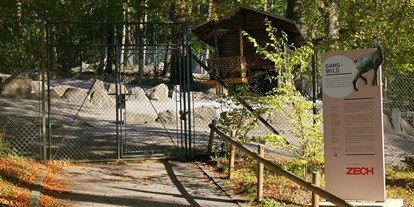 Ausflug mit Kindern - Ausflugsziel ist: ein Tierpark - Am Anfang des Wildparks trifft man auf Steinwild - Wildpark Feldkirch