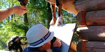 Ausflug mit Kindern - Ausflugsziel ist: ein Tierpark - Wer die Tiere füttern möchte, wie hier die Zwergziegen, der sollte reichlich 20 Cent Münzen eingesteckt haben - Wildpark Feldkirch