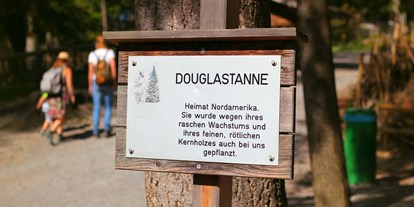 Ausflug mit Kindern - Hard - Zahlreiche Schilder bei Bäumen und Sträuchern verraten etwas über die Flora im Wildpark - Wildpark Feldkirch