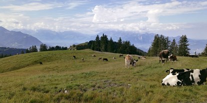 Ausflug mit Kindern - Vorarlberg - Alm am Alpwegkopf - Wanderung zum Alpwegkopf