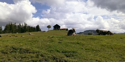 Ausflug mit Kindern - Vorarlberg - Das Alpwegkopfhaus - Wanderung zum Alpwegkopf