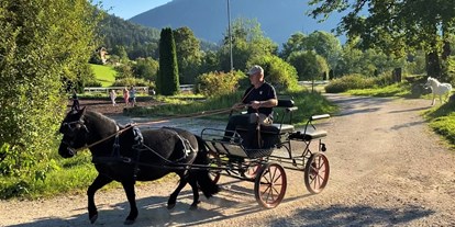 Ausflug mit Kindern - Salzkammergut - Pferdekutsche - Narzissendorf Zloam