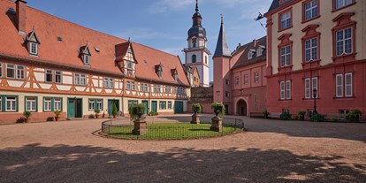 Ausflug mit Kindern - Odenwald - Schloss Erbach 