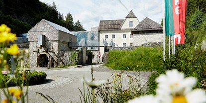Ausflug mit Kindern - sehenswerter Ort: Burg - Talsperre Klause - Burgenwelt Ehrenberg