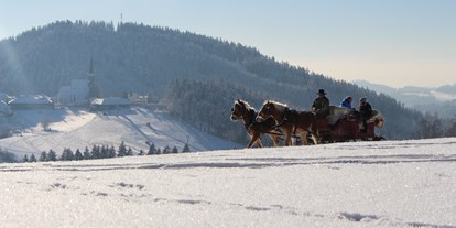 Ausflug mit Kindern - Oberösterreich - Pferdeschlittenfahrten am Georgs Kutscher Hof