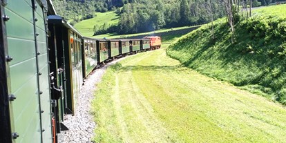 Ausflug mit Kindern - Bregenzerwald - Länger Niatalgietug mit Diesellokomotive 2095.13 - Wälderbähnle