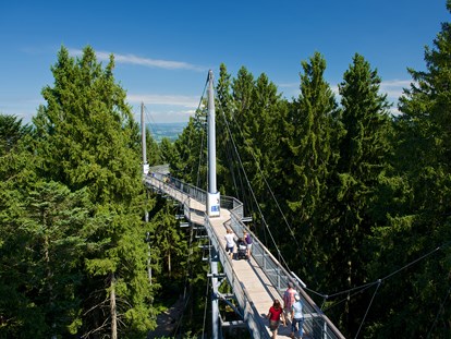 Ausflug mit Kindern - Bayern - Wald Abenteuerwelt skywalk allgäu