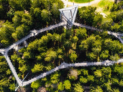Ausflug mit Kindern - TOP Ausflugsziel 2023 - Wald Abenteuerwelt skywalk allgäu