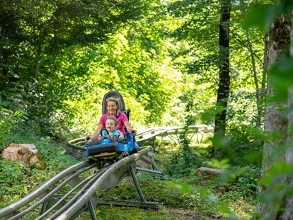 Ausflug mit Kindern - Witterung: Schönwetter - Alpine-Coaster-Golm