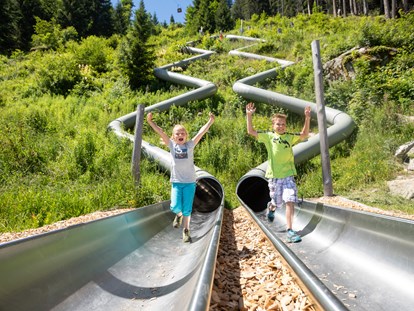 Ausflug mit Kindern - Ausflugsziel ist: eine Wanderung - Waldrutschenpark-Golm