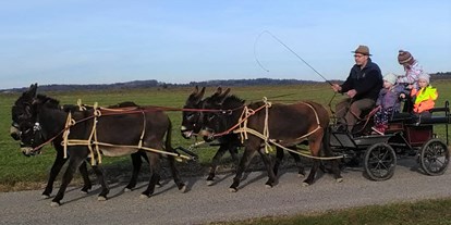 Ausflug mit Kindern - Oberösterreich - Esel-Kutschenfahrten Eselhof Berndlgut