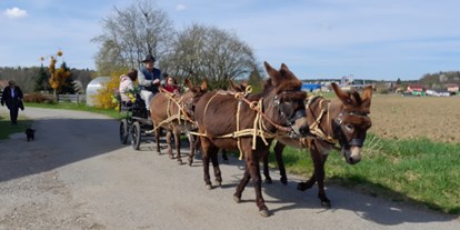 Ausflug mit Kindern - Oberösterreich - Esel-Kutschenfahrten Eselhof Berndlgut