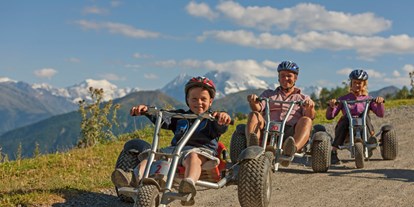 Ausflug mit Kindern - Vinschgau - Mit den Mountaincarts geht es zurück ins Tal - Erlebnisberg Watles