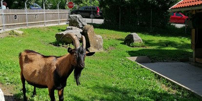Ausflug mit Kindern - Bodensee-Vorarlberg - Doppelmayr Zoo