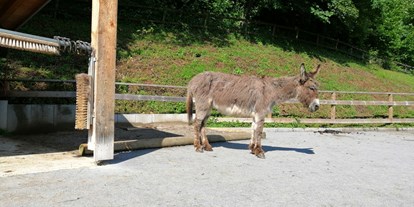 Ausflug mit Kindern - Vorarlberg - Doppelmayr Zoo