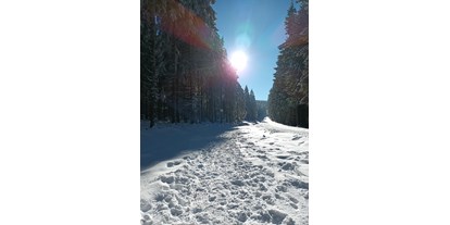 Ausflug mit Kindern - Böhmerwald - Winterwanderweg Alpenblick
