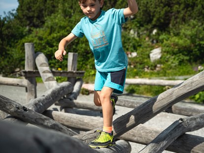 Ausflug mit Kindern - Kitzbühel - Steinplatte Waidring Triassic Park  - Triassic Park auf der Steinplatte