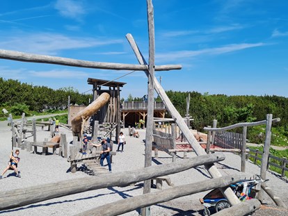 Ausflug mit Kindern - Ausflugsziel ist: ein Freizeitpark - Triassic Park  Steinplatte Waidring