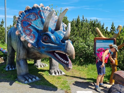 Ausflug mit Kindern - Alter der Kinder: Jugendliche - Triassic Park  Steinplatte Waidring