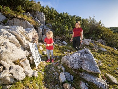 Ausflug mit Kindern - Alter der Kinder: über 10 Jahre - Triassic Park  Steinplatte Waidring
