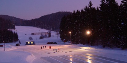 Ausflug mit Kindern - Oberneukirchen (Oberneukirchen) - Eisstockschießen am Golfplatzteich