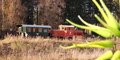 Ausflug mit Kindern - Waldviertel - Wackelstein-Express