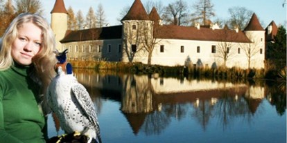Ausflug mit Kindern - Niederösterreich - NÖ Falknerei- & Greifvogelzentrum Schloss Waldreichs
Saison 2019: 18. April bis 13. Oktober 2019 - NÖ Falknerei- und Greifvogelzentrum Waldreichs