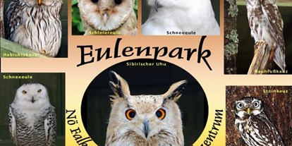 Ausflug mit Kindern - Krems an der Donau - Einzigartig ist unser Eulenpark - NÖ Falknerei- und Greifvogelzentrum Waldreichs