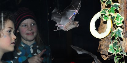 Ausflug mit Kindern - Lübeck - Besuch in der Fledermaus-Erlebnisausstellung