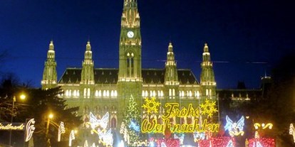 Ausflug mit Kindern - Niederösterreich - Wiener Weihnachtstraum am Rathausplatz