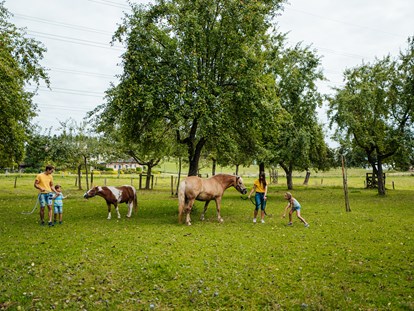 Ausflug mit Kindern - Themenschwerpunkt: Tiere - Urlaub auf den Erlebnisbauernhöfen am Klopeiner See