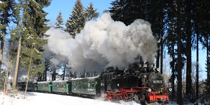 Ausflug mit Kindern - Eibenstock - Dampfzugfahrt mit der Fichtelbergbahn