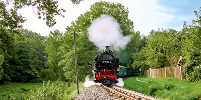 Ausflug mit Kindern - Radebeul - Dampfzugfahrt mit der Lößnitzgrundbahn