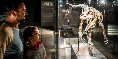 Ausflug mit Kindern - Bayern - Dinosaurier Museum Altmühltal