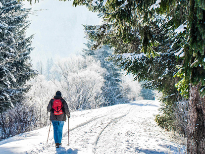 Ausflug mit Kindern - Bad Ischl - Winterwanderung im Schnee