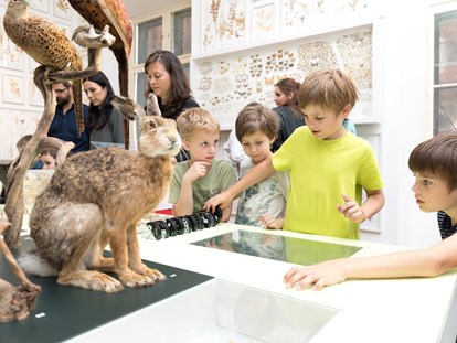 Ausflug mit Kindern - Ausflugsziel ist: ein Museum - Der Natur auf der Spur!