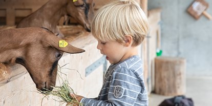 Ausflug mit Kindern - Tirol - Auf Entdeckungstour mit unseren Ziegen. - Erlebnissennerei Zillertal