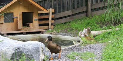 Ausflug mit Kindern - Alpenregion Vorarlberg - Enten und andere Tiere können entdeckt werden - Tiererlebnispfad Brandnertal