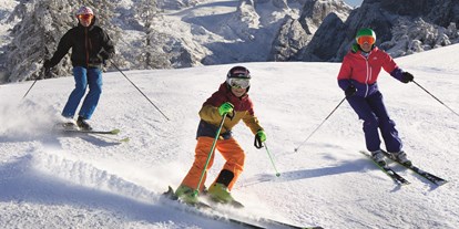 Ausflug mit Kindern - Dachstein Salzkammergut - Dachstein West - das familiärste Skigebiet Österreichs - Skiregion Dachstein West - Gosau, Russbach, Annaberg