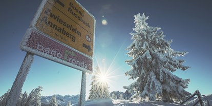 Ausflug mit Kindern - Dachstein Salzkammergut - Panoramareiche 44 km lange Skigenussrunde PANORONDA - Skiregion Dachstein West - Gosau, Russbach, Annaberg