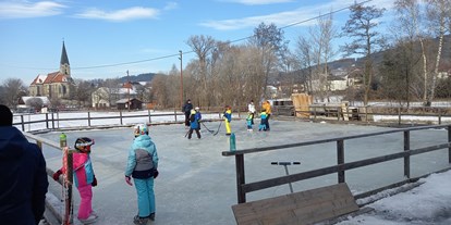 Ausflug mit Kindern - Oberösterreich - Eissportanlage St. Oswald
