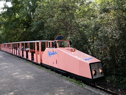 Ausflug mit Kindern - Wiener Neudorf - Donauparkbahn