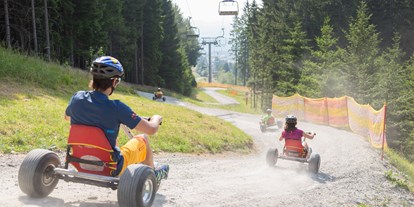 Ausflug mit Kindern - Wiener Alpen - Abfahrt mit dem Mountaincart - Erlebnisalm Mönichkirchen