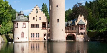 Ausflug mit Kindern - Aschaffenburg - Symbolbild für Ausflugsziel Schloss Mespelbrunn (Bayern). - Schloss Mespelbrunn