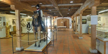 Ausflug mit Kindern - Region Chiemsee - Der Hauptausstellungsraum - Inn-Museum
