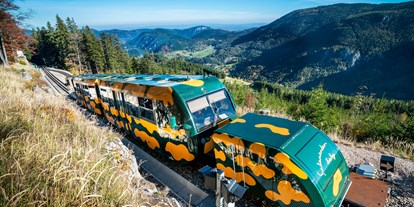 Ausflug mit Kindern - Wiener Neustadt - Der Salamander-Zug der Schneebergbahn - Schneebergbahn
