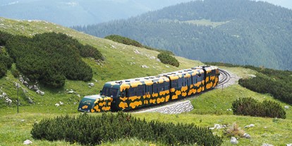 Ausflug mit Kindern - Wiener Alpen - Der Salamander am Weg zum Bahnhof Hochschneeberg - Schneebergbahn