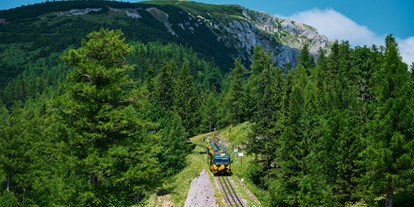 Ausflug mit Kindern - Wiener Alpen - Blick zum Elisabeth Kircherl - Schneebergbahn