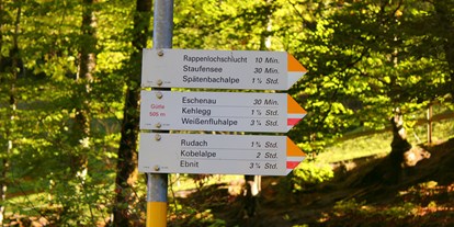 Ausflug mit Kindern - Dornbirn - Rappenlochschlucht & Alplochschlucht